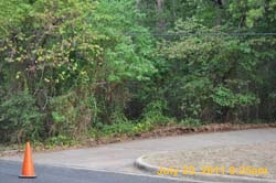 Entergy 065